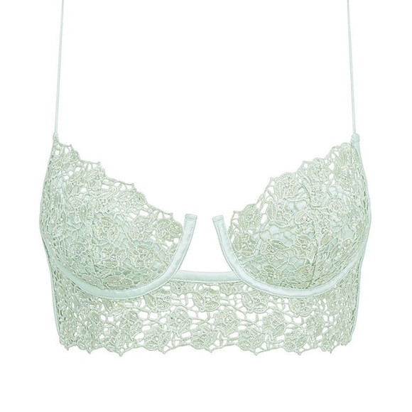 💚NWT Love and Lemons Twinkle Rose bustier💜Size XS; Sage - Picture 9 of 10